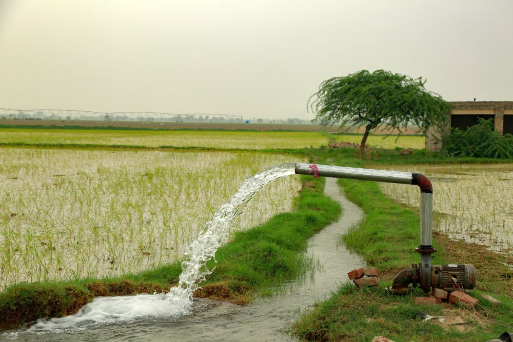 bangladesh-solar-irrigation-for-agricultural-resilience-solar-iwmi